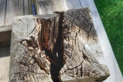 decking-replacement-1